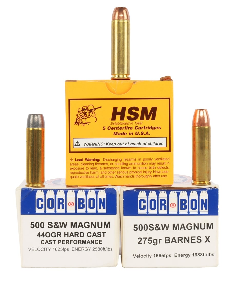 29 RDS .500 S&W MAGNUM COR-BON & BARNES AMMO (1 of 7)