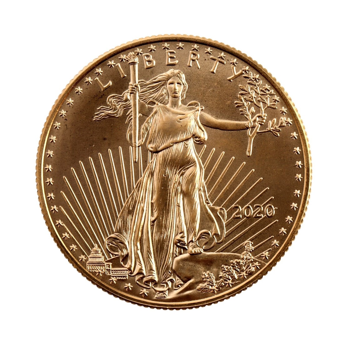 2020 HALF OUNCE GOLD AMERICAN EAGLE: Guaranteed. Mint state. Brilliant uncirculated. This lot has a reserve.