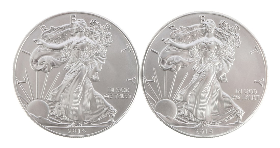 ONE 1 OZT .999 AMERICAN FINE SILVER EAGLE COIN (1 of 2)