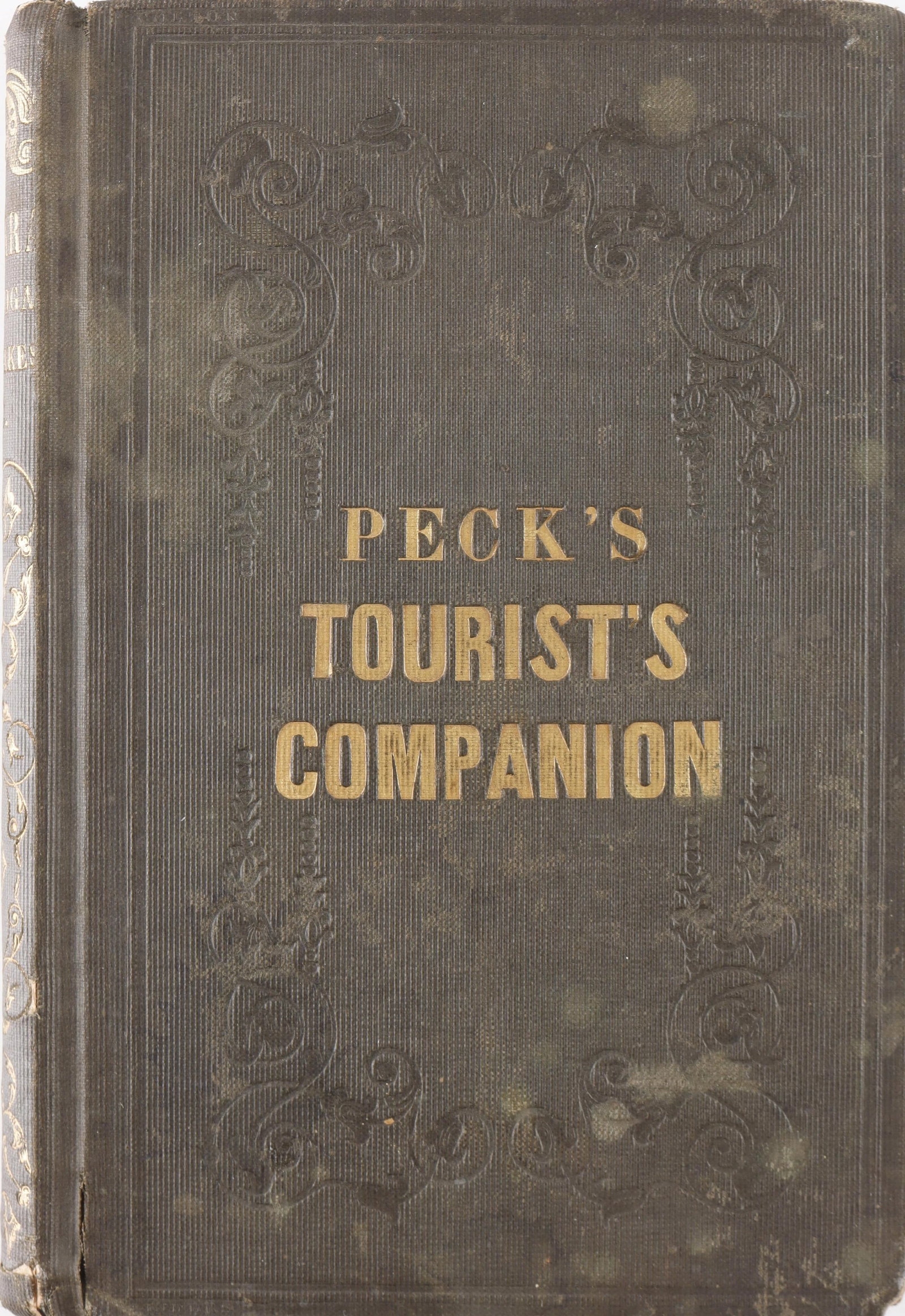 Peck's Tourist Companion to Niagara Falls (1 of 4)