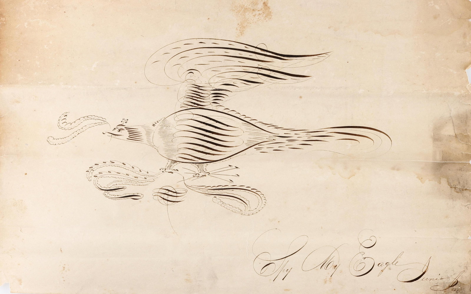 'Fly My Eagle' 19th Century Sketch of Eagle (1 of 2)