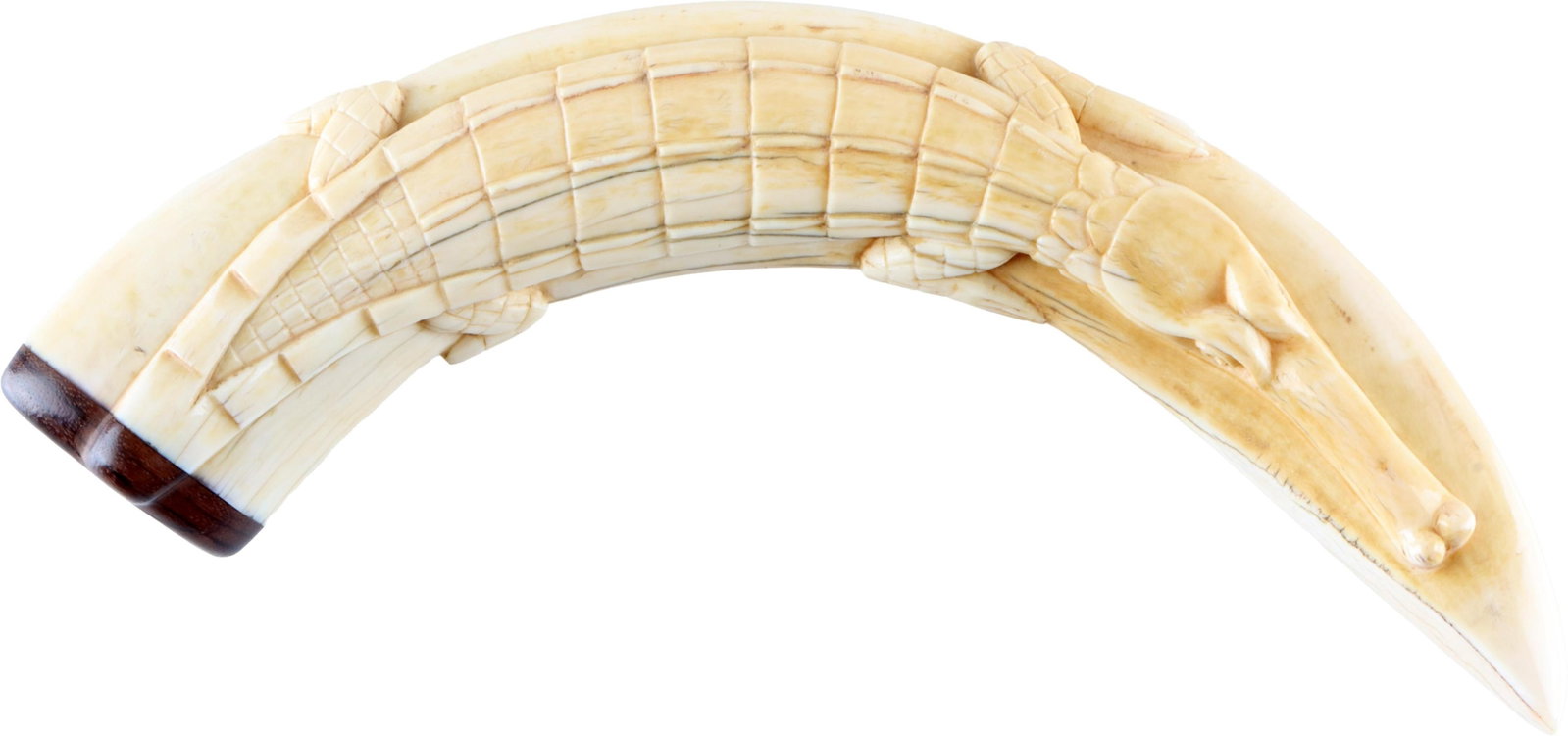Carved Boar Tusk with Slender Snout Crocodile (1 of 4)