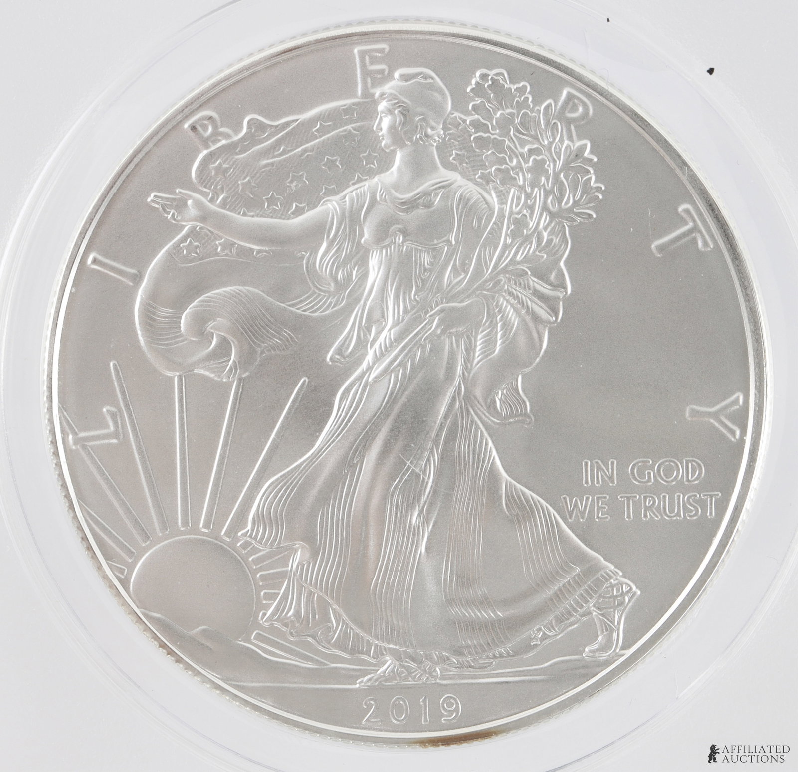 2019 ANACS MS70 .999 Silver Eagle First Strike - 3