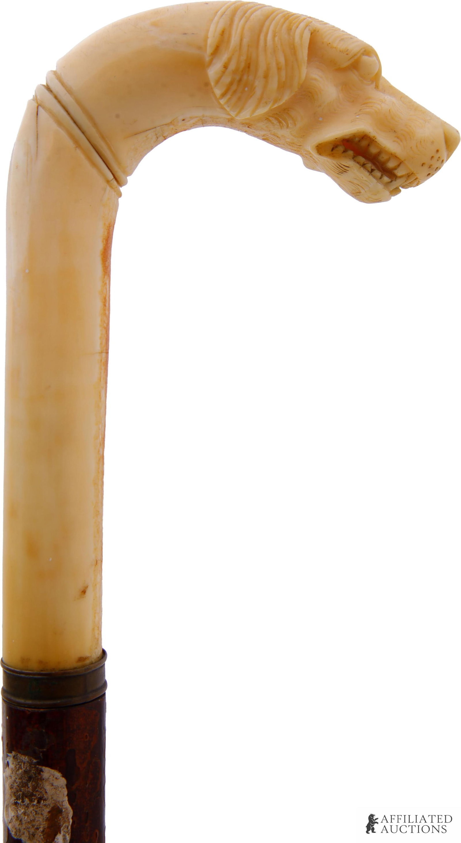 Hound Head Knob Walking Cane Antique Ivory (1 of 5)