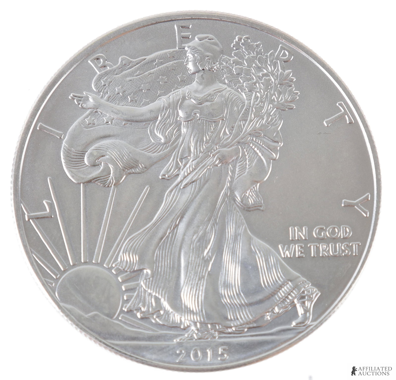 2015 US One Ounce Silver American Eagle Coin (1 of 2)