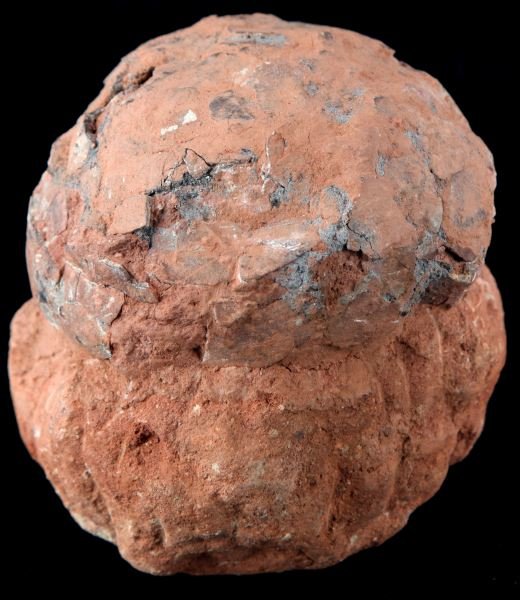 FOSSILIZED DINOSAUR EGG: Fossilized dinosaur egg, appearing likely from the Hadrosauridae Family. Measures about 4.5 in diameter, and 5 inches high overall.