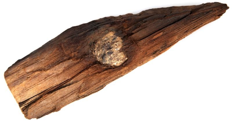 THREE-RING MINIE BALL LODGED IN WOOD BENTONVILLE: Civil War three-ring Minié ball lodged in wood fragment recovered from the area formerly Cole's Farm on the Bentonville Battlefield in 1988. Accompanied by a handwritten note from the finder.