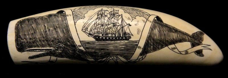 SIGNED VINTAGE WHALE TOOTH SCRIMSHAW CARVING: Six inch whale tooth very well carved with a Sperm large whale and a ship at sail in the center. Initialed with a T over an S below whale fin. Very good condition.