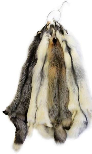GROUP OF 4 WELL-KEPT RANCH FOX PELTS: Includes 1 silver cross, 2 white, and 1 grey fox pelt. Pelts measure approximately 50 inches respectively, appear to have been kept in good condition. Minor wear present; overall in very good conditio