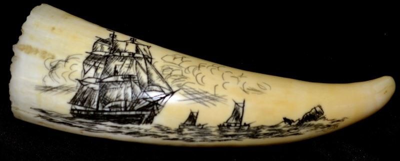 ANTIQUE SCRIMSHAW IVORY PIECE WITH SEASCAPE ART: Ivory measures approximately 4.5 inches in length and features a seascape drawing with boats. Some chips and wear present at base of ivory; overall in very good condition.
