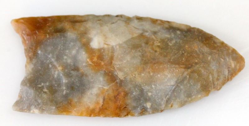 CLOVIS VARIANT NE ALABAMA PALEO ARROWHEAD: From a long time collector, new to the market, moderately fluted, measuring 2 3/4 inches, deeply imbedded debitige, deemed authentic.