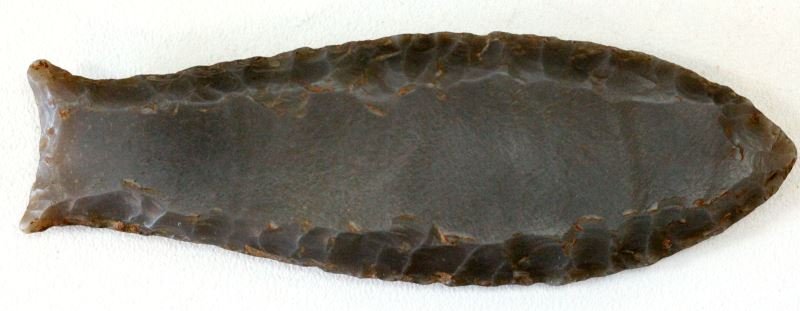FLUTED CUMBERLAND PALEO ARROWHEAD MACON CO. TN: Late Paleo period, full fluted point, measuring four inches, debitage deeply imbedded in recesses, superb craftsmanship with pleasing grey chert. From long term collector of Southeastern Native Americ
