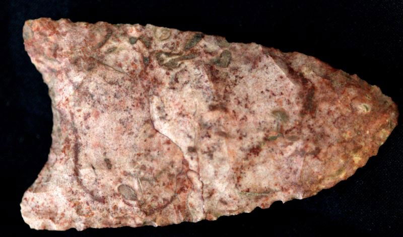 NORTHEASTERN ALABAMA PALEO ARROWHEAD 2 6/8 INCH: Moderately fluted on one side, fluted nearly the full length on the other,quality surface find with slight serrated edge, debitage imbedded in the recesses.