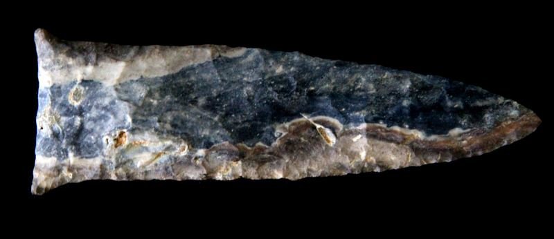 LATE PALEO EARLY ARCHAIC DALTON TYPE ARROWHEAD: Tan to black to tan unique Missouri chert, non fluted with double extended auricles, measures 4 1/2 inches, complete and free of repairs, soil debitage deep in the recesses, use patina, deemed authent