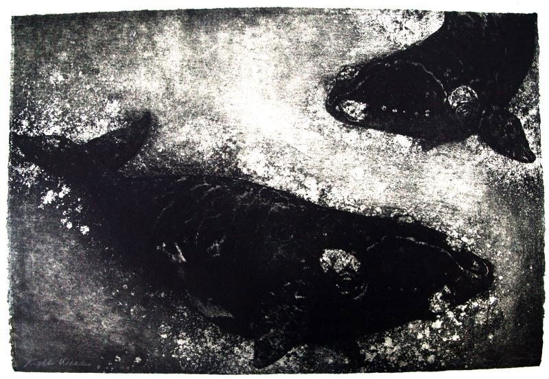 SIGNED ENGRAVING RIGHT WHALES ALAN JAMES ROBINSON: Alan James Robinson (American, b. 1950) signed black and white wood engraving "Right Whales". Signed in pencil to bottom. Measures 22 by 15 inches. Rough edge, middle weight artist paper. Very good un