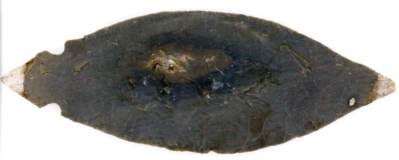 5 INCH NORTHERN MISSISSIPPI TURKEY TAIL ARROWHEAD: From a decades old collection of Southeastern Artifacts, atypical grey chert, quartz deposit mid way, deeply embedded debitage, noticeable to the touch age patina. 0