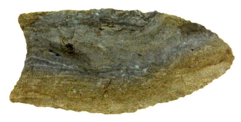 SOUTHERN TENNESSEE PALEO BLADE ARROWHEAD: Bifacially fluted, measuring 2 1/2 inch, complete and free of repairs, all indicators of authenticity are present. 0