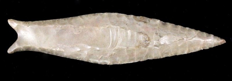 LAUDERDALE COUNTY ALABAMA PALEO ARROWHEAD: This point was acquired from the Appalachian Primitive Museum in 1988 and is reputed from to be from Heavens Half Acre and Ft. Payne chert, has museum catalog number and dated 1969, measuring 5 1/4 in
