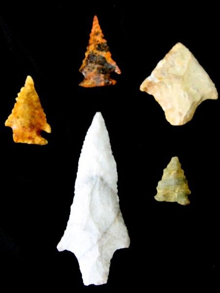 JEFFERSON COUNTY FLORIDA ARCHAIC ARROWHEAD LOT: Five better made points, includes a four inch Marion, two Bolens and two others, Hwy 59 area surface finds and Aucilla River sub surface finds. 0