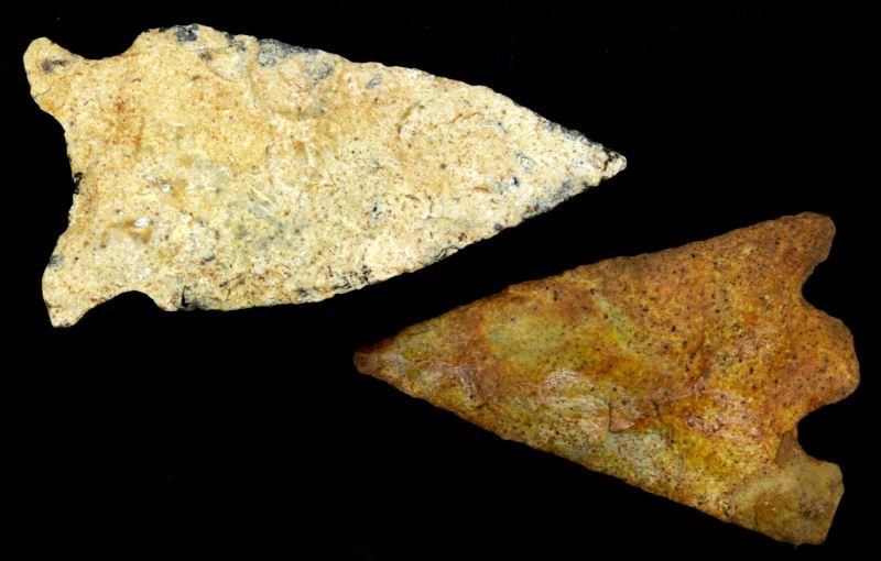 CHIPOLA RIVER FLORIDA DALTON & HERNANDO ARROWHEAD: Found in the 1970's by Hines M. Robertson, Chipola River Basin, each point measures approximately 2 inches, free of repairs, felt residue on reverse from being affixed to a frame. 0