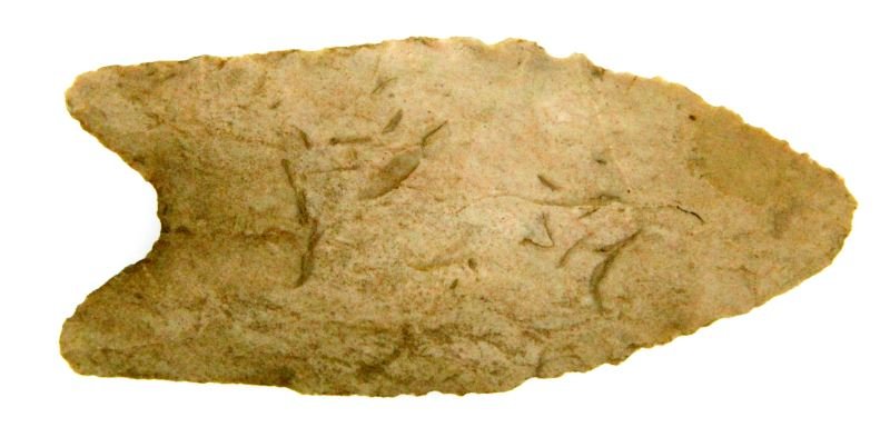 MARSHALL COUNTY ALABAMA FLUTED PALEO CLOVIS POINT: Atypical regional chert, broad opposing percussion flaking, wear patina all normal indications of authenticity, measures three inches. 0