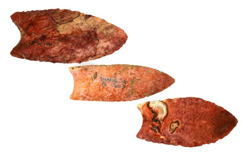 3 MARSHALL CO. ALABAMA PALEO CLOVIS ARROWHEADS: From the Appalachian Primitive Museum and acquired by private Alabama collector in 1984, each measuring just over three inches, each double fluted, broad and deep opposing percussion flaking, bearing 