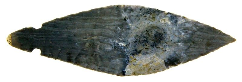 6" WOODLAND TURKEY TAIL ARROWHEAD TENNESSEE POINT: 6 inch Turkey Tail point. These points were most common in the late Archaic and Woodland period. This point has a convex blade, acute distal end, and side notches. This point has parallel primary chip