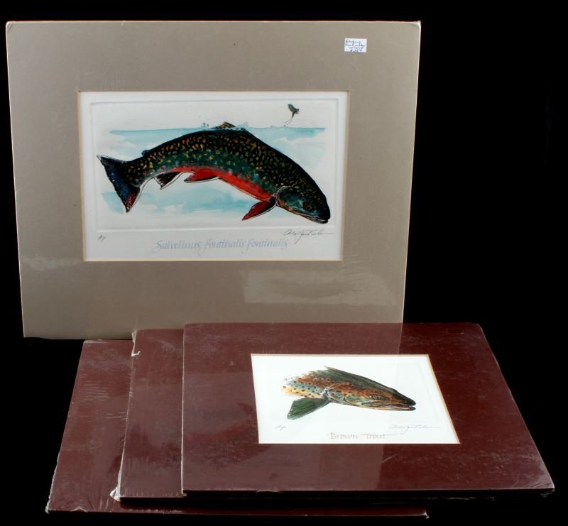 ALAN JAMES ROBINSON AP HAND PAINTED FISH ETCHINGS: Group of 4 Artist-proof hand-painted watercolor fish etchings by Alan James Robinson (American, b. 1950). Includes: 3 smaller etchings depicting Trout heads (14 by 13 inches), and one full body etchin
