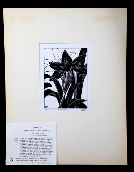 SIGNED ORIGINAL WOODCUT AMARYLLIS BY GRACE ALBEE: Signed in LR and "ED 250" in LL and titled "Ameryllis" in LC. original wood engraving, image size 7 by 5 inches. On original backing with matte cover and tissue paper. COA from Associated American Art
