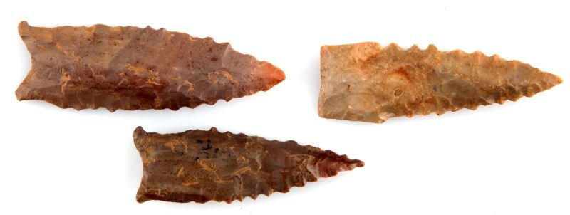 GROUP OF 3 MIXED DALTON ARROWHEAD POINTS DYER TN: Dyer county, Tennessee Dalton arrowhead points (3). One Colbert Dalton is a smooth, well-chipped beige stone point with serrated edges and straight to slightly concave base. The largest Dalton measure