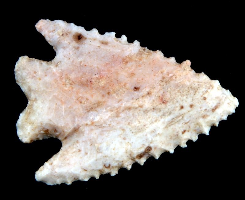 TRANSITIONAL PALEO KIRK ARROWHEAD POINT SERRATED: Transitional Paleo bifurcated Kirk arrowhead. White to light pink stone, fine serration, and deep notches. Shallow broad flaking to one side, more vertical to other. Measures just over 2 inches long. 