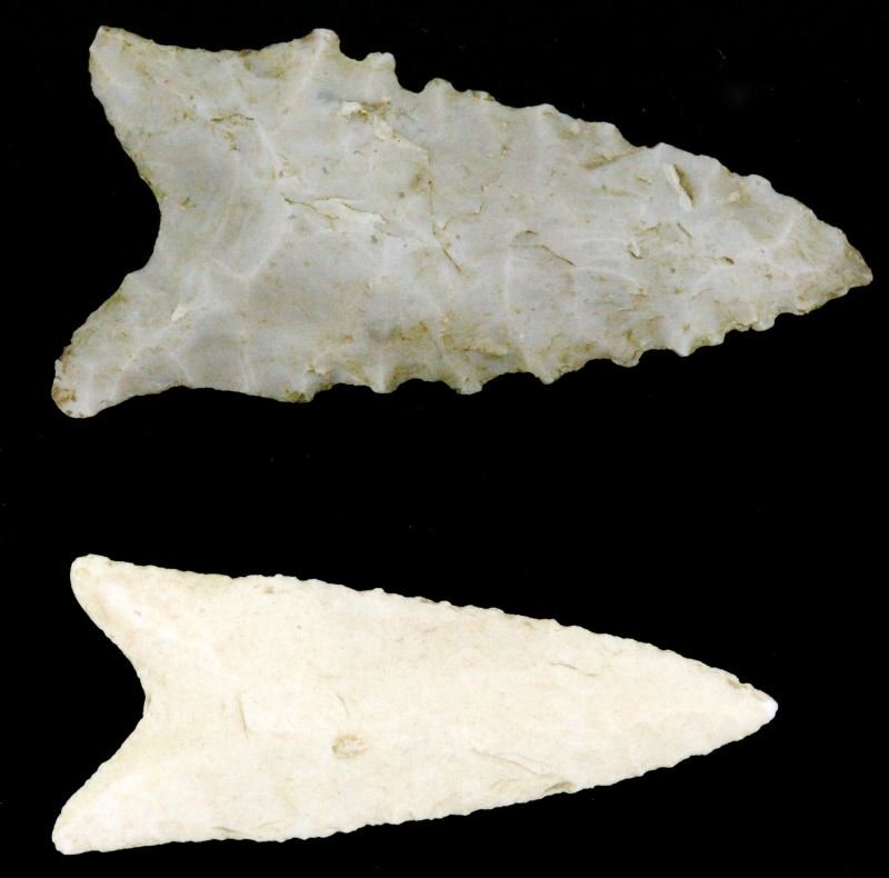 2 NORTH ALABAMA EARLY ARCHAIC DALTON ARROWHEAD LOT: From long time Alabama collection dating back to 1940's, each point is fluted and basal ground, shallow broad flaking generally random, measuring 2 and 2 1/2 inches.