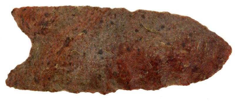 NE GEORGIA DALTON PALEO 2 3/8 INCH ARROWHEAD: Fluted and basal ground, from long time collection of southeastern artifacts, complete free of repairs.