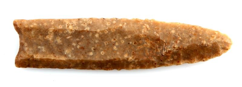 3.5 INCH FLUTED PALEO ARROWHEAD POINT BEIGE COLOR: Fluted Paleo arrowhead point. Speckled deposits over beige color stone. Well-worn edges and blade, ground basal edge, and parallel flaking. Measures 3.5 inches. From longtime private collector.
