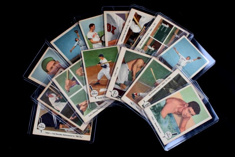 1959 FLEER TED WILLIAMS BASEBALL CARD LOT OF 15: All cards are G/VG no problem or creased.