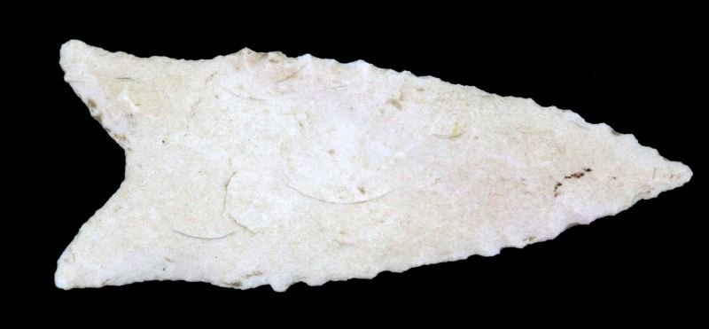 ALABAMA EARLY ARCHAIC DALTON ARROWHEAD: Measuring 2 3/8 inch, single side flute, random broad shallow flaking, wear patina and debitage into the recesses. 0