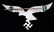WWII GERMAN THIRD REICH LUFTWAFFE EAGLE PIN - 2