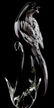 MURANO DIAMOND DOVE EXOTIC BIRDS COLLECTION 11" - 2