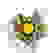 item-42421369=2