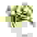 item-42421369=3