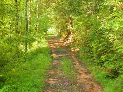 LAND 5.1 ACRES ELLIJAY GEORGIA DOUBLE EAGLE PRESER: 5.1 Acres Frontage on Trout Ponds Frontage on Gibson Creek Expansive Views This lot shares frontage on the trout ponds as well as on Gibson Creek. The lot rises to the back and, with a properly-sited