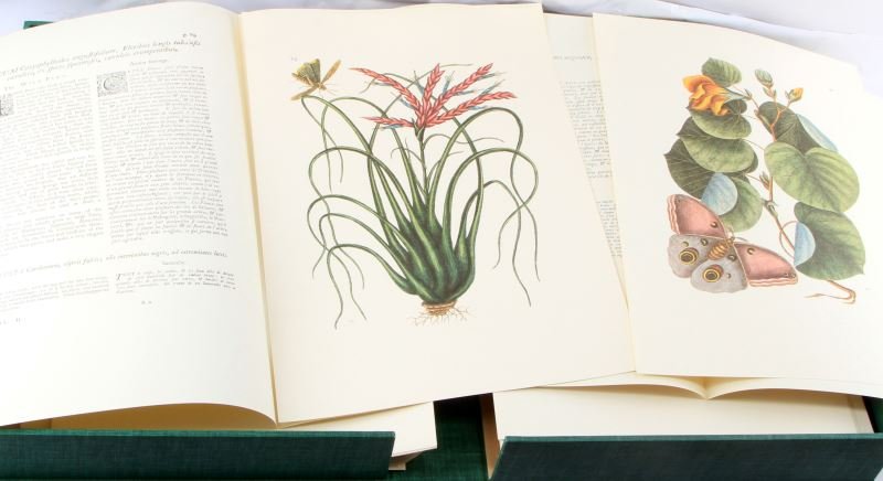 MARK CATESBY NATURAL HISTORY OF CAROLINA FLORIDA: 1974 Limited edition Mark Catesby reprint with folios and hardcover, "Natural History of Carolina, Florida and the Bahama Islands" very good boxed as issued condition.