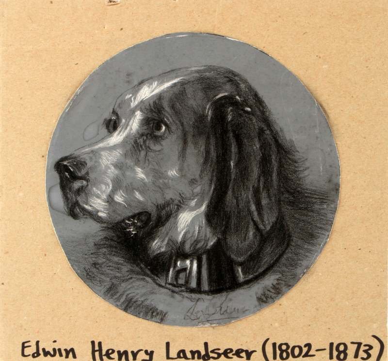 EWIN LANDSEER SIGNED CHARCOAL STUDY 19TH C: Antique charcoal study depicting an Irish setter by English artist Sir Edwin Henry Landseer (b. 1802-1873). Some light water damage, however the image is clear. Signed on the bottom edge. The study ha