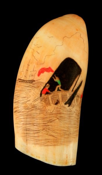 WHALE IVORY SCRIMSHAW WITH POLYCHROME ENGRAVINGS: A 6 inch long whale scrimshaw with polychrome engravings. One side has a polychrome scene of a whale with a whaling boat in its jaws. The other side shows a lady in wide dress and bonnet. In very good