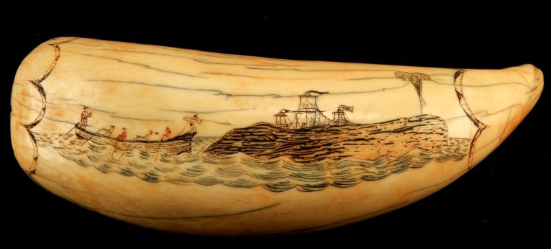 POLYCHROME SCRIMSHAW WHALING SCENE 5 INCHES TALL: Pre-ban whale tooth polychrome scrimshaw depicting a whaling scene. The piece has a age cracks along the body and some cracks on the tip. This work is unsigned. Measures 5 inches long, 221 grams. Ivor