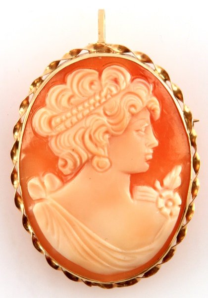 LADIES 14KT YG BROOCH/PENDANT WITH SHELL CAMEO: In very good condition, 14kt yellow gold brooch frame, 37.5 x 29mm, carved shell cameo, very nice detail work, translucent. Also has hinged pendant at top. Weighs 5.2 grams.