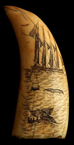 WHALE TOOTH IVORY SCRIMSHAW W/ WHALING SCENE: A whale tooth scrimshaw engraved with the image of a ship at sea and a whaling crew in a boat harpooning a whale. Measures 5.75 inches tall. In good condition with some yellowing and cracking from age