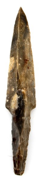 BELIZEAN STEMMED UNIFACE MACRO BLADE RIVER FIND: A large uniface blade found in the New River in Belize, a site just east of the Lamanai ruins. Made circa 50 B.C. - A.D. 900. The back of the tang is bifacial. This artifact was found prior to 1950 an