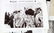 49 SIGNAL CORPS OCCUPATION / WAR CRIME PHOTOGRAPHS - 2