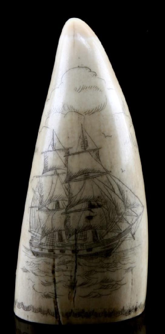 SCRIMSHAW SHIP AND SWEETHEART MEMENTO SKILLED HAND: 4.75" high scrimshaw sperm whale tooth. Smooth base. Decorated with whaling ship on obverse and reverse Sweetheart memento of a woman under a heart held up by birds. Overall in very good condition. It